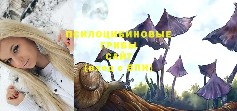 купить  цена  Тобольск  гидра зеркало  Галлюциногенные грибы Magic Shrooms 